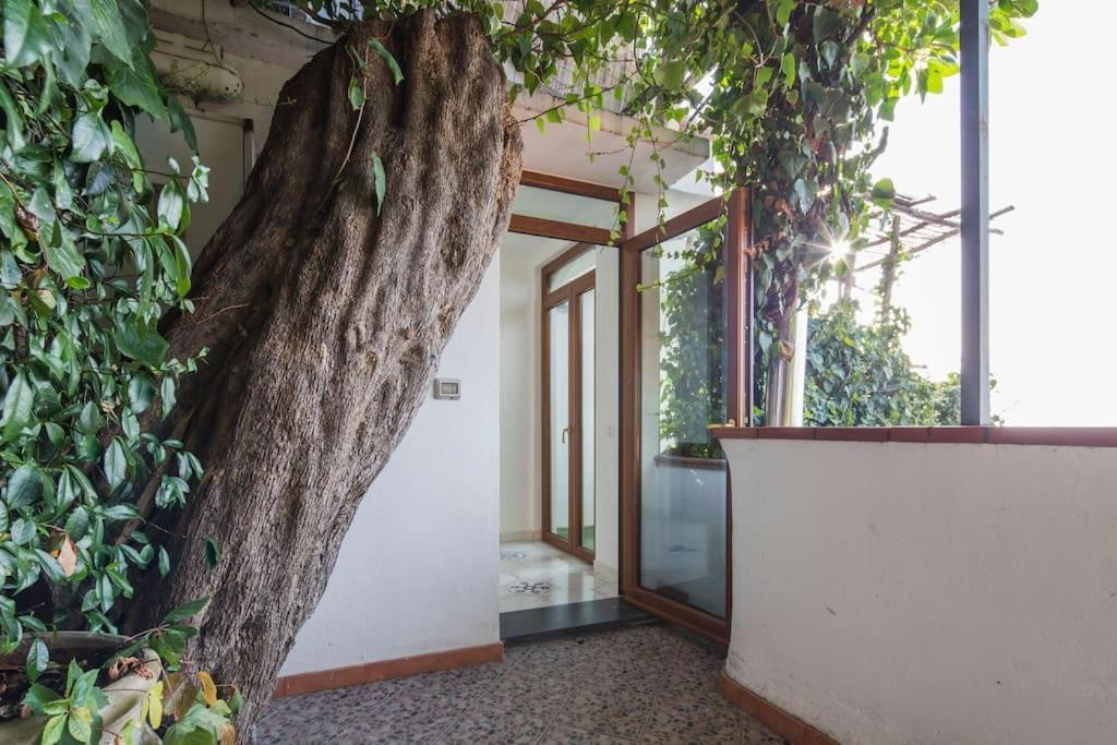 Villa Lena กองกาเดมารีนี ภายนอก รูปภาพ